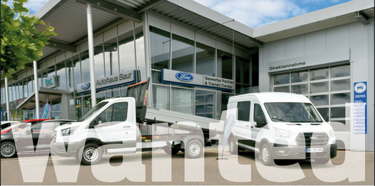 Verkäufer Gewerbe- und Nutzfahrzeuge (m/w/d)